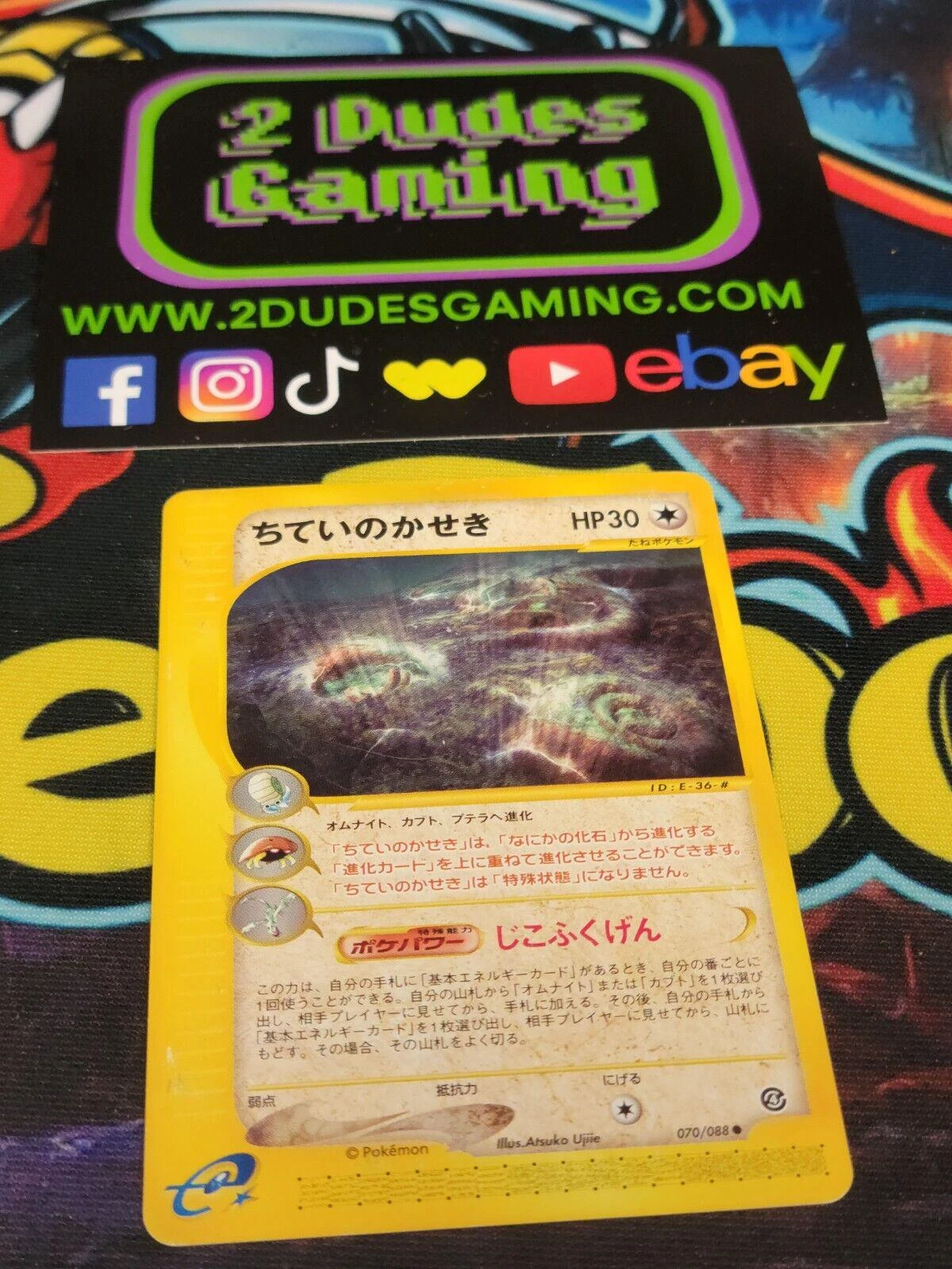 Buried Fossil #70