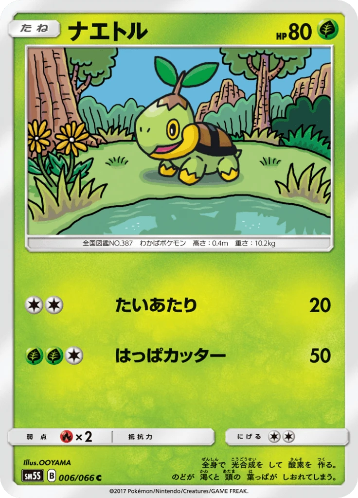 Turtwig #6