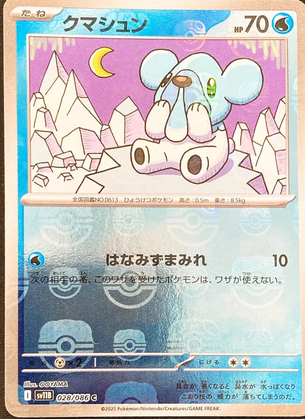 Cubchoo Master Ball #28