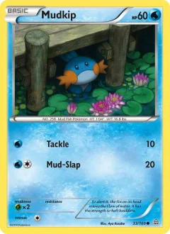 Mudkip Reverse Holo