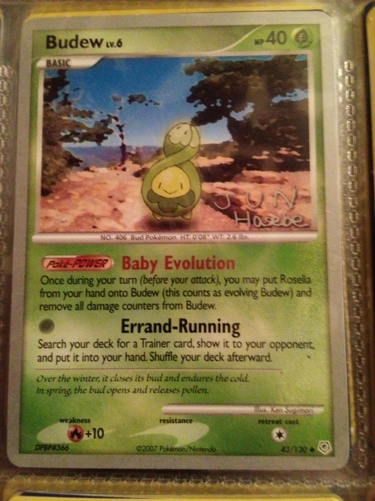 Budew #43