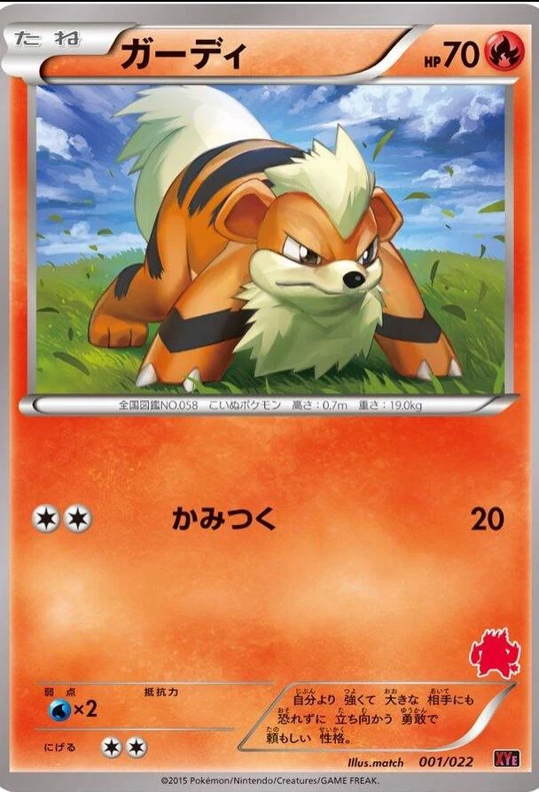 Growlithe #1