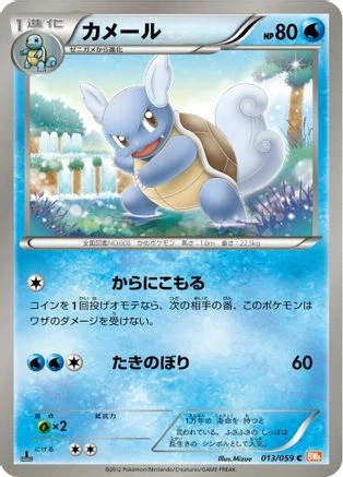 Wartortle #13
