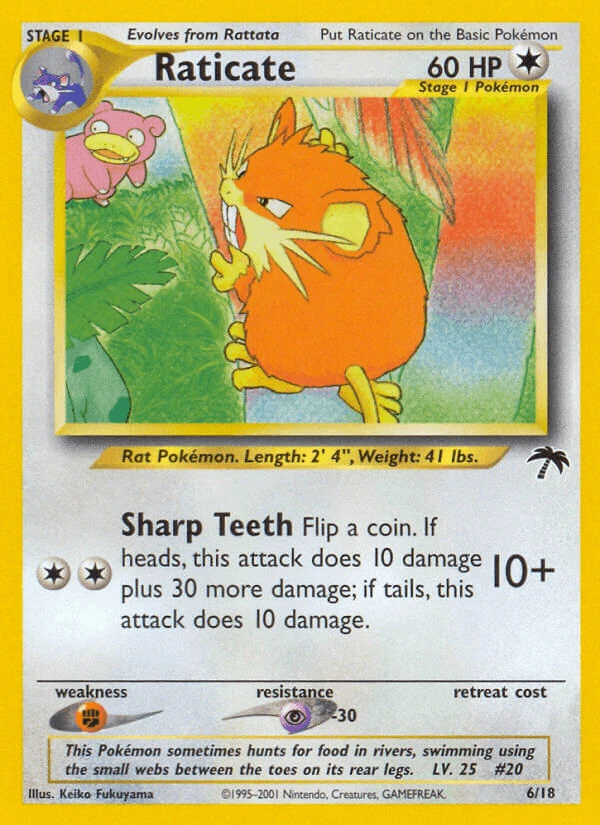 Raticate #6