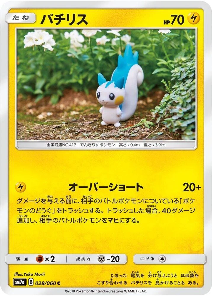 Pachirisu #28