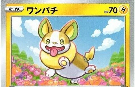 Yamper #7