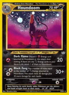 Houndoom 1st Edition Double Holo Error