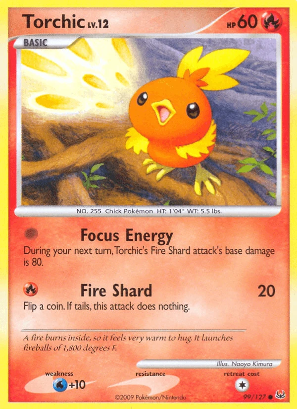 Torchic #99