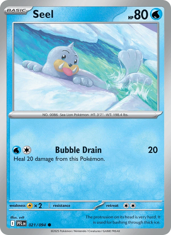 Seel #21