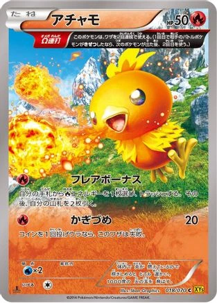 Torchic #18