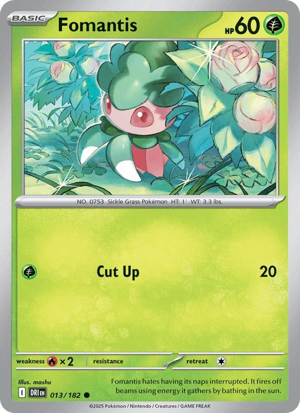 Fomantis #13