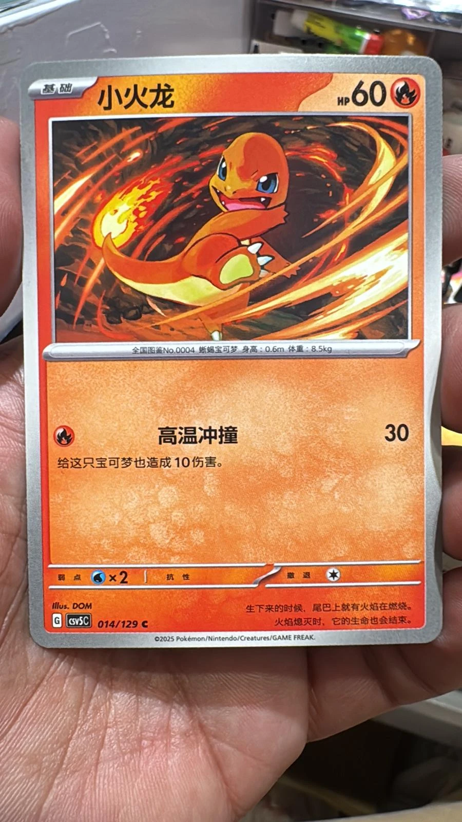 Charmander #14
