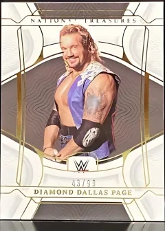 Diamond Dallas Page