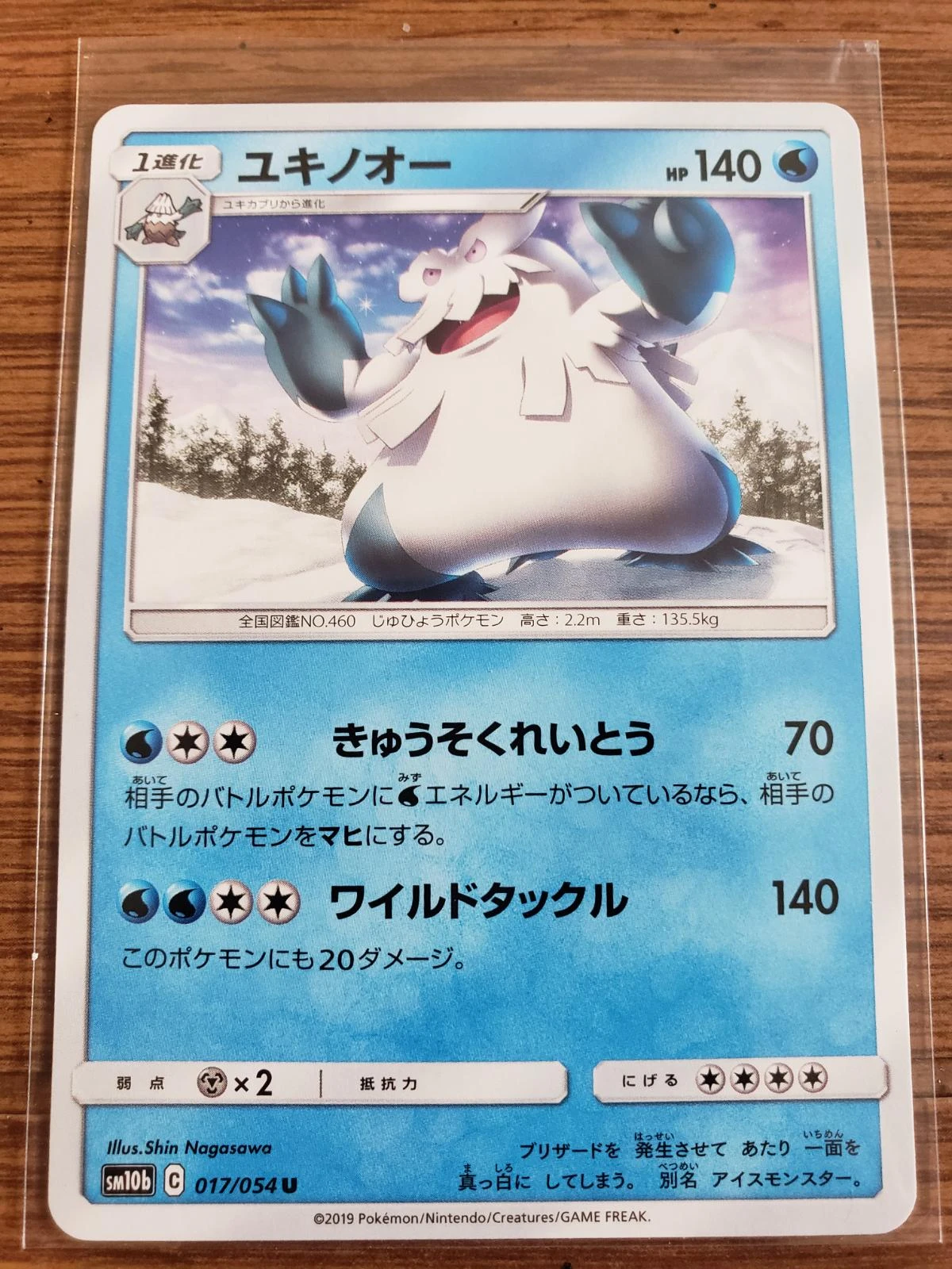 Abomasnow #17