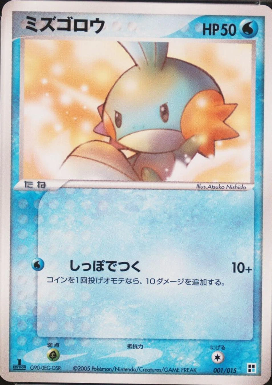 Mudkip #1