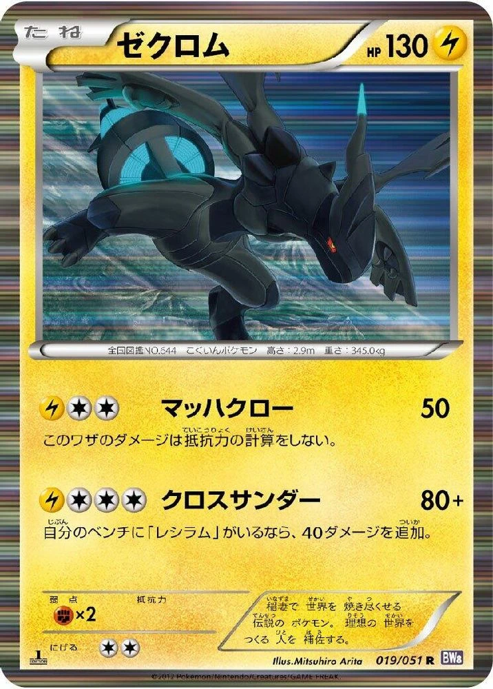 Zekrom #19