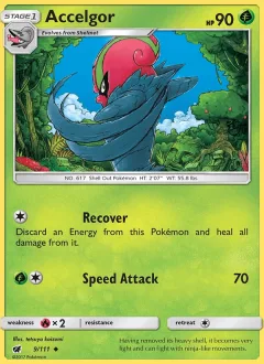 Accelgor