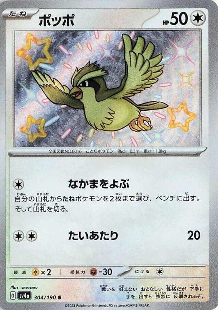 Pidgey #304