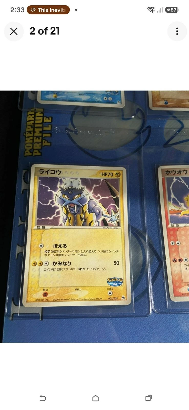 Raikou #5