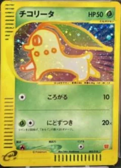 Chikorita Holo
