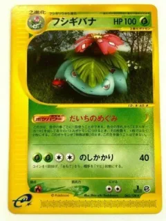Venusaur 1st Edition
