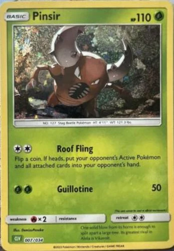 Pinsir #7