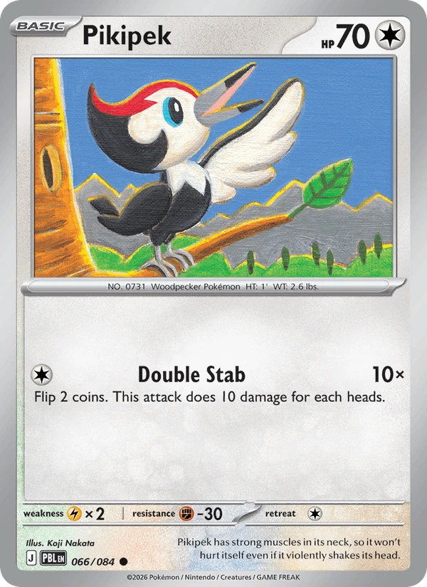 Pikipek #66