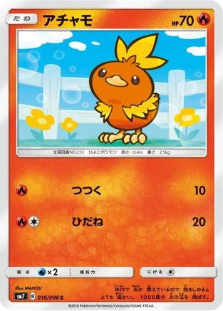 Torchic #16