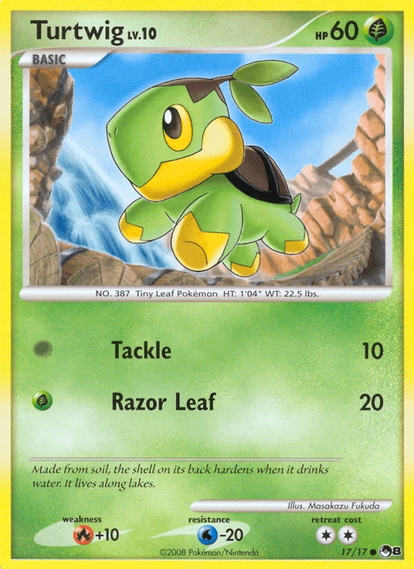 Turtwig #17