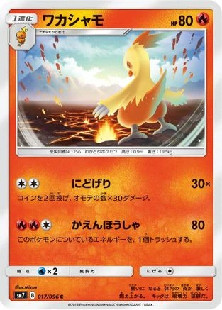 Combusken #17