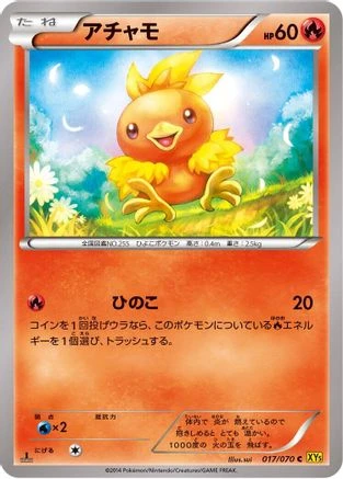 Torchic #17