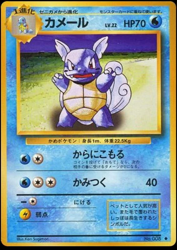 Wartortle #8