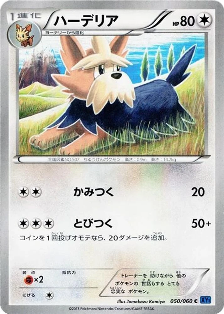 Herdier #50