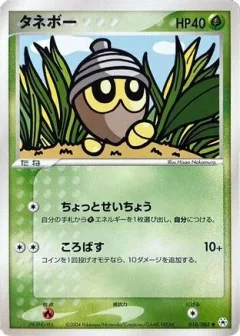 Seedot 1st Edition