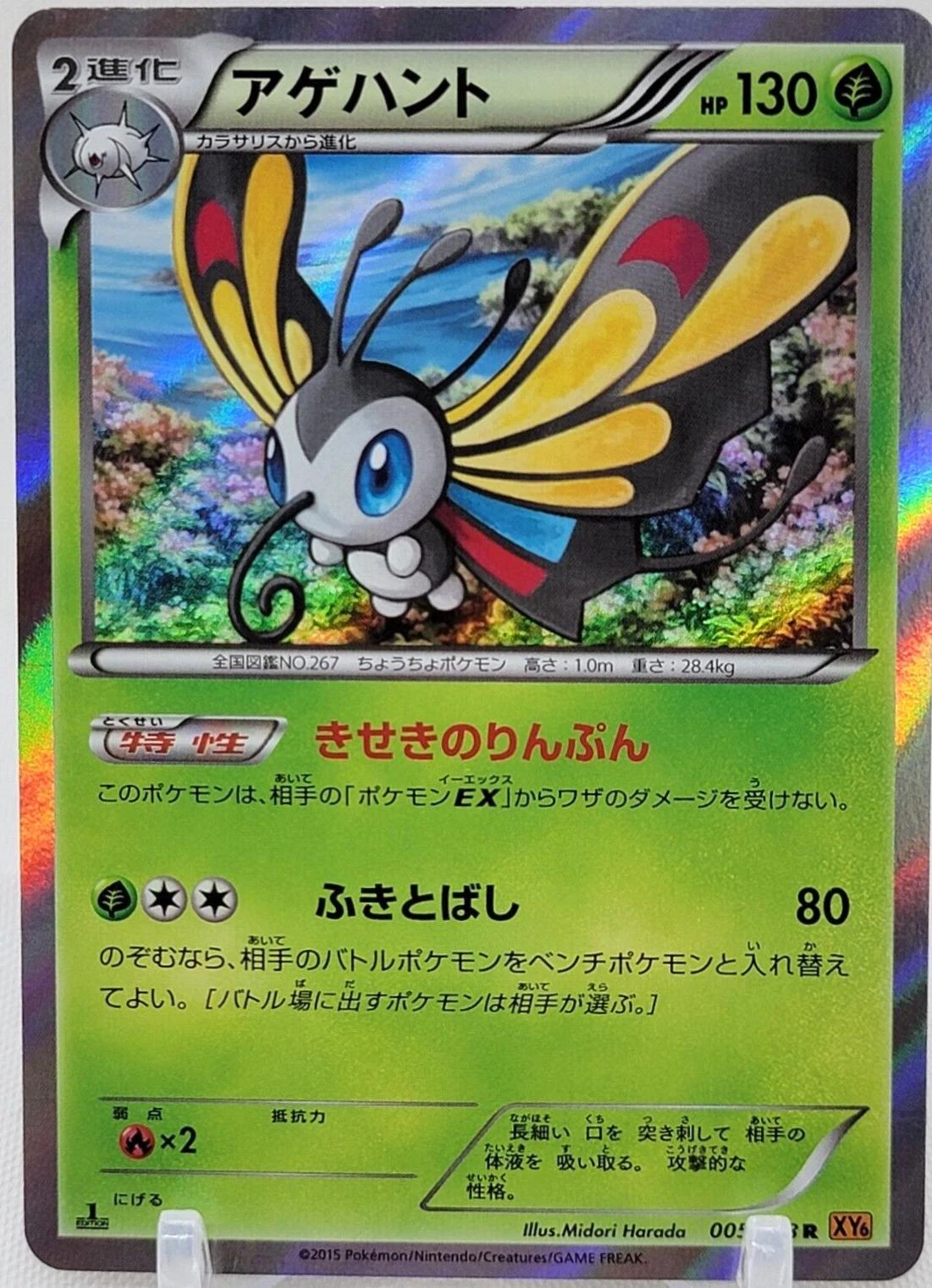 Beautifly 1st Edition #5