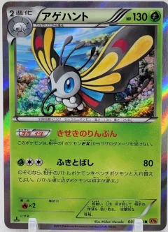 Beautifly 1st Edition