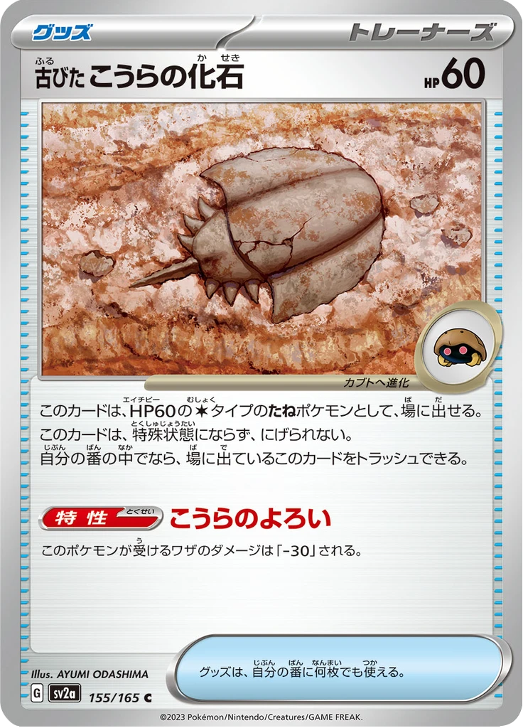 Old Dome Fossil Reverse #155