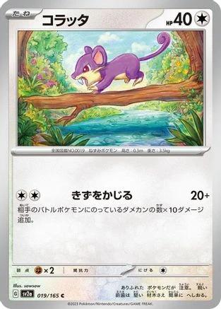 Rattata #19