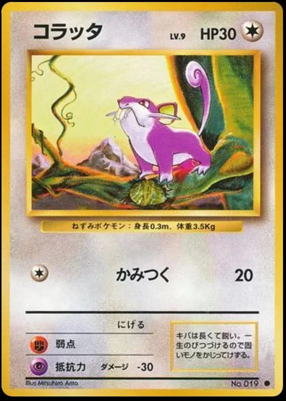 Rattata #19