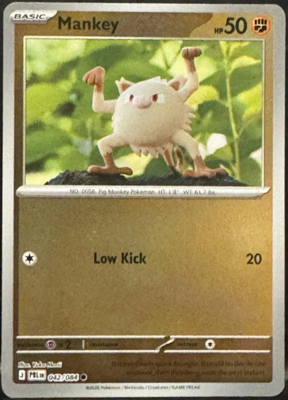 Brock's Mankey #56