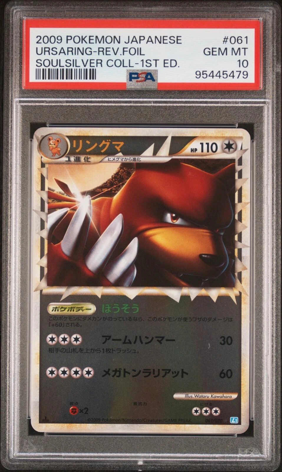 Ursaring Reverse Holo #61
