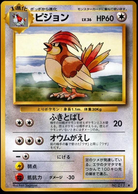 Pidgeotto #17