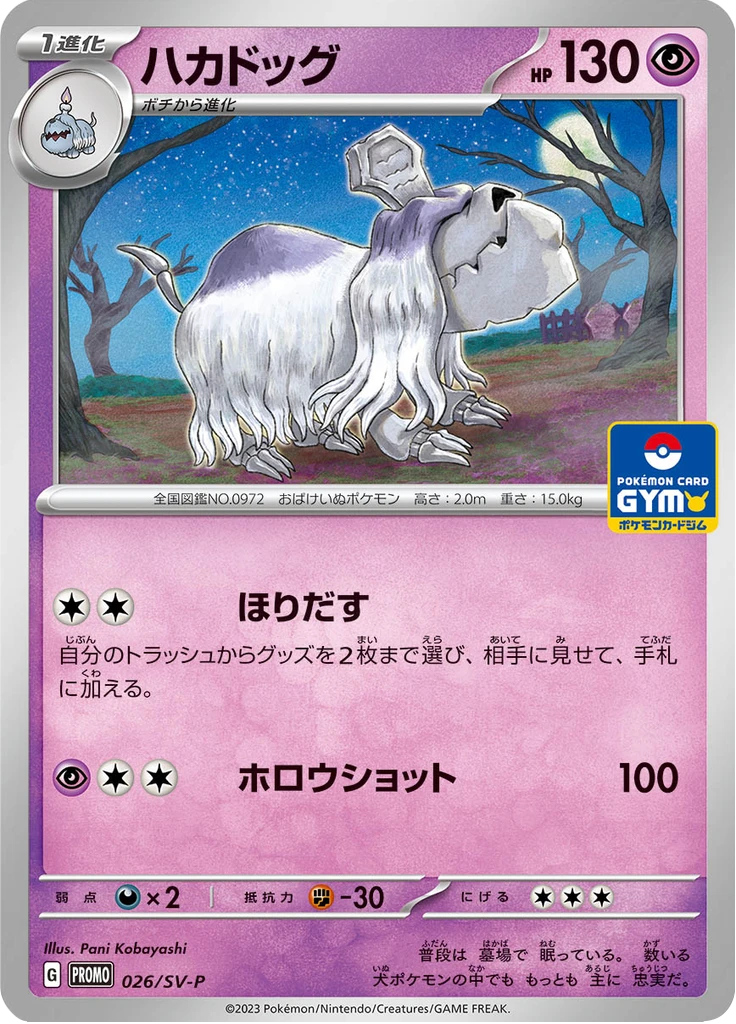 Houndstone Gym 26sv P