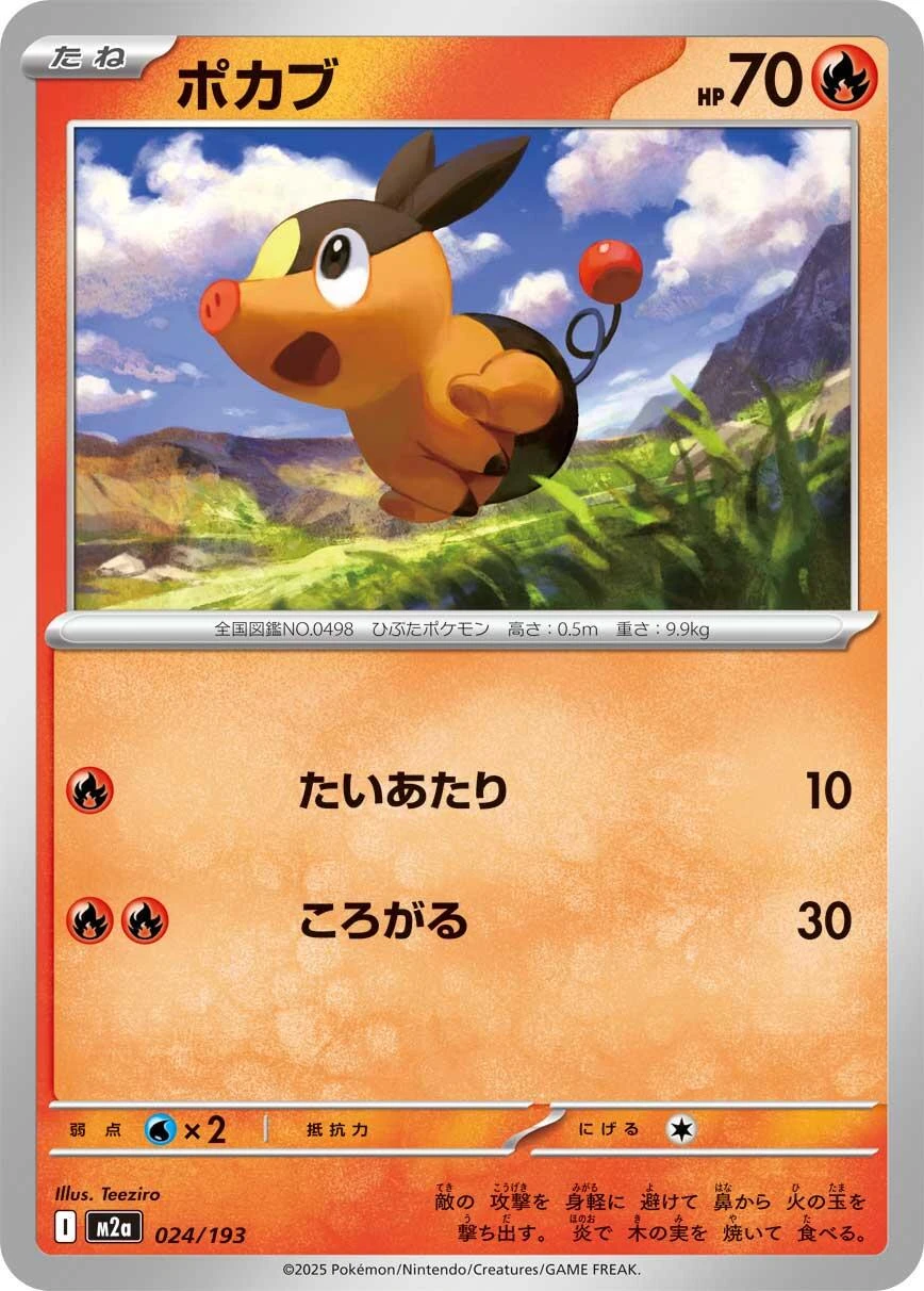 Tepig #24