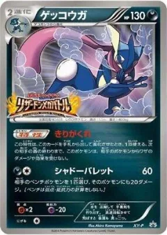 Greninja Charizard Mega Battle