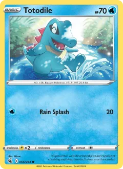 Totodile Reverse Holo