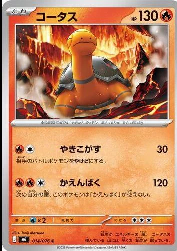 Torkoal #14