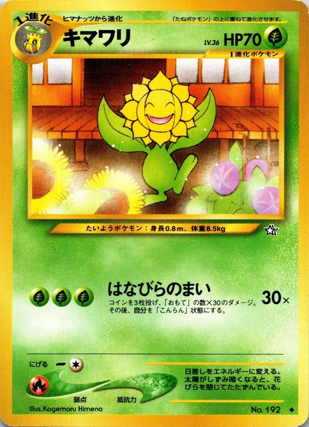 Sunflora #192