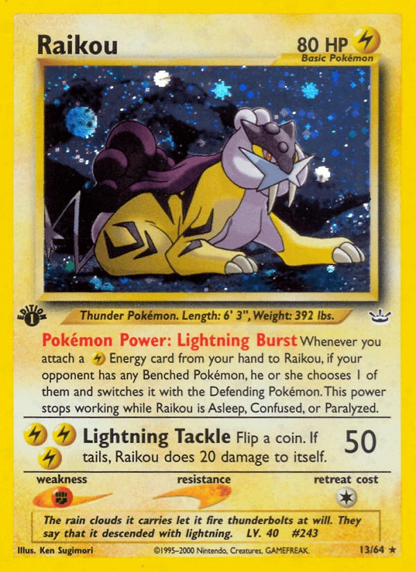 Raikou #13