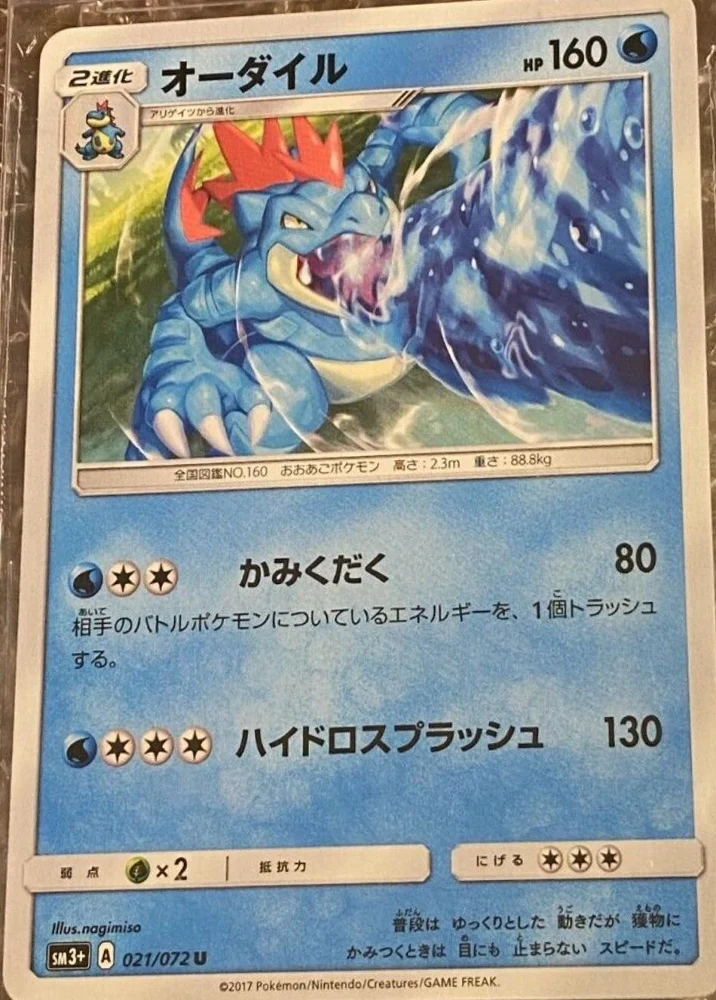 Feraligatr #21